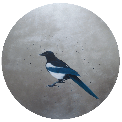 090_Magpie_medium.gif